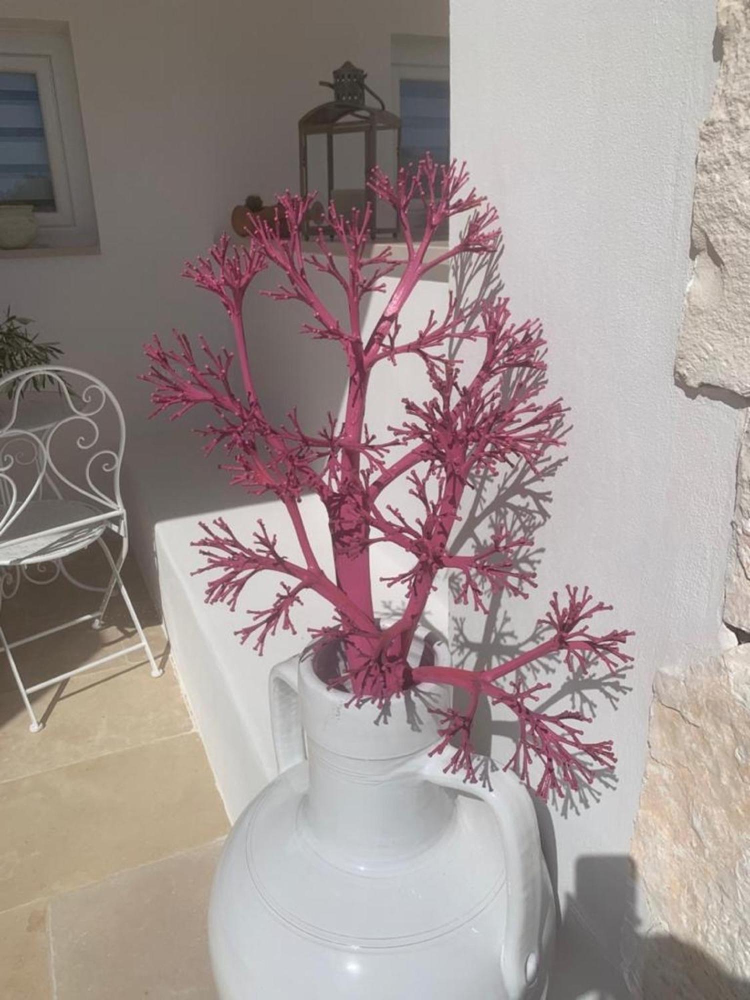 Feudi Mandolivo Bed & Breakfast Ostuni Exterior photo
