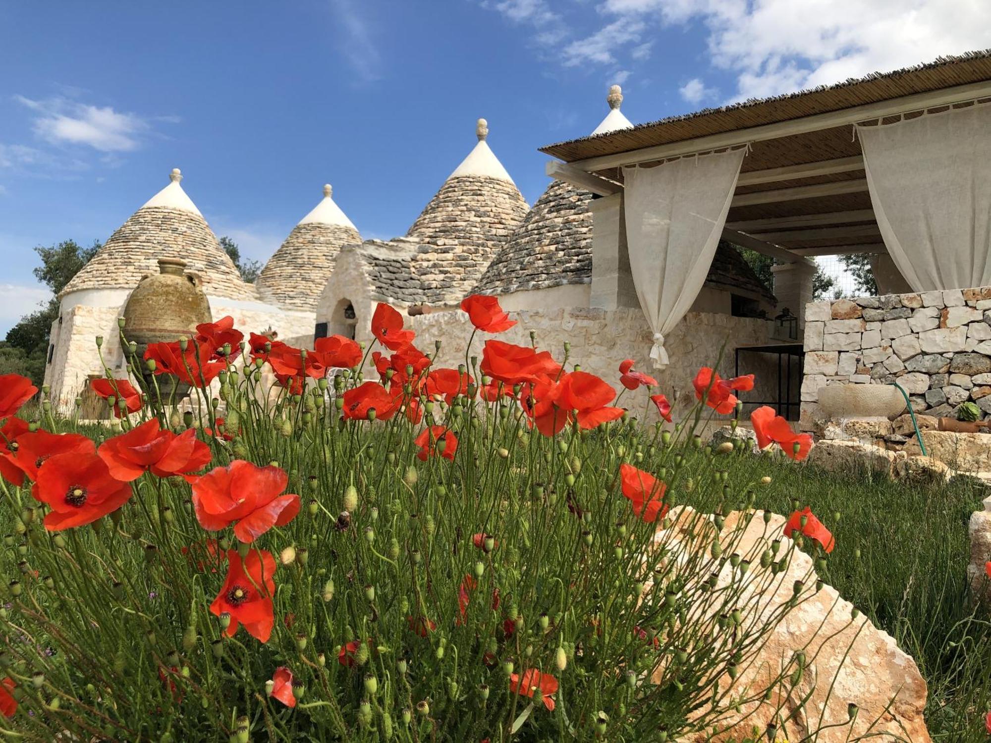 Feudi Mandolivo Bed & Breakfast Ostuni Exterior photo